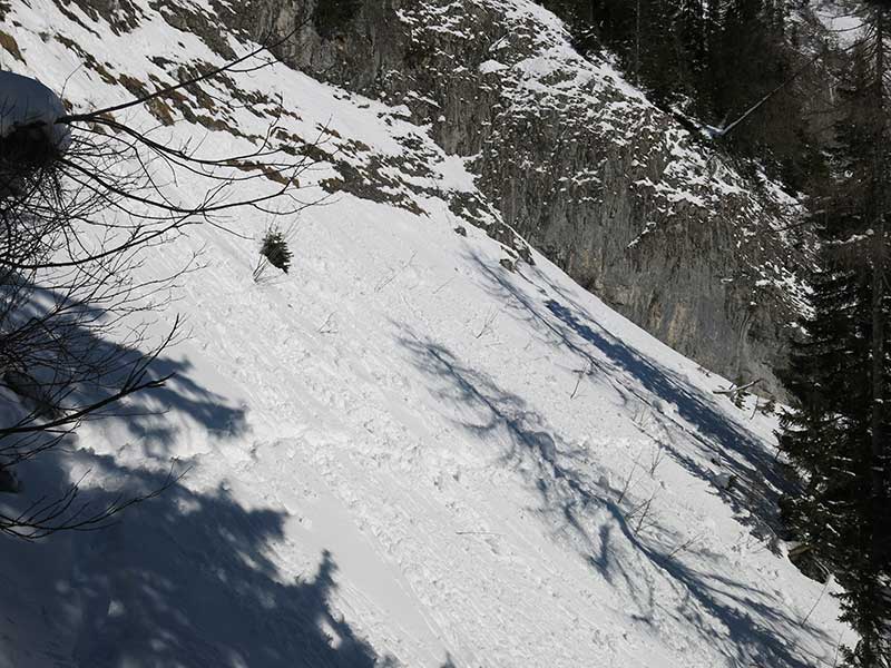 Buchbergkogel